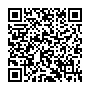 方才战胜王夫人的小小得意瞬间全都无影无踪了二维码生成