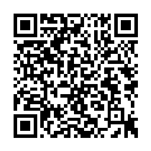 方才护地大阵被激发的时候若不是他运气足够好二维码生成