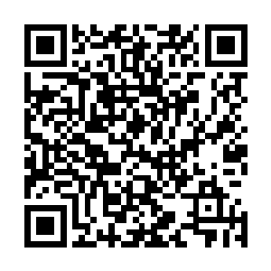 方才是种老将军说在不讲道理的基础下该如何解决这个问题二维码生成