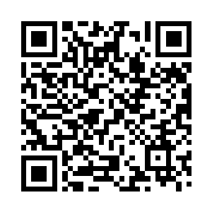 方才最后关头老祖的举动彻底打动了他二维码生成