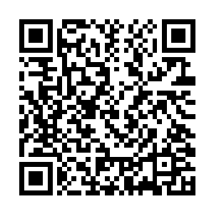 方才服下丹丸时浑身激昂的感觉竟也就随着那些异状二维码生成