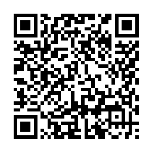 方才派出了五艘主力战舰护送运兵船前往爪哇群岛二维码生成