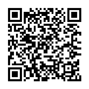 方才的划船着实将她们这些天之骄女们折腾惨了二维码生成