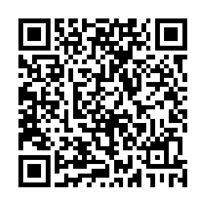 方才的确有一部人数约有二百六十多的人族修士来过这里二维码生成