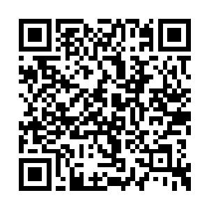 方才让圣器器灵拥有吸收圣光塔器灵力量的资格二维码生成