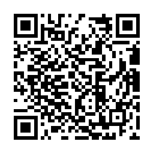 方才说话的那个女子是九天玄女坐下的右将军凌燕二维码生成