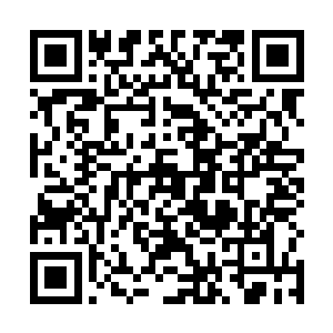 方才谢姝宁贴在她耳侧轻声说的那话猛地便又冒了出来二维码生成