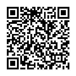 方才连满血满蓝的地火玄龟都轻易败在了穷奇的爪下二维码生成