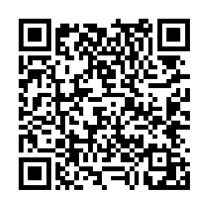 方才风雨雷电的合击在他们心中造成了深深地震撼二维码生成