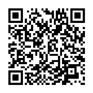 方方的微信公众平台更新了小城堡最近的萌照哦二维码生成