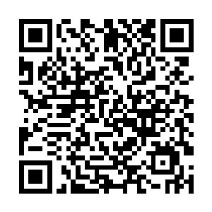 方方面面的势力这个时候都是表现的很是冷静和沉稳二维码生成