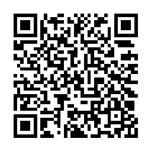 方法是将电磁波能量辐射到别的等离子体细胞中二维码生成