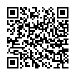 方灵颖就穿着另一套日本自卫队迷彩服站在他面前二维码生成