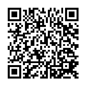 方灵颖说这是自己在婆罗洲混迹那些民宅之间的感受二维码生成