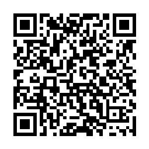 方炎从那些年轻人的眼神中看到了蒋钦和袁琳的成功二维码生成