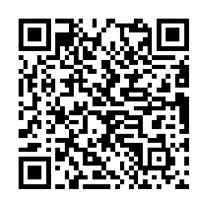 方炎这才看向那位满脸惊喜地看着自己的樱花女人二维码生成