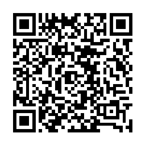 方舟岛上所有的觉醒者都觉得自己就像是一只蚂蚁二维码生成