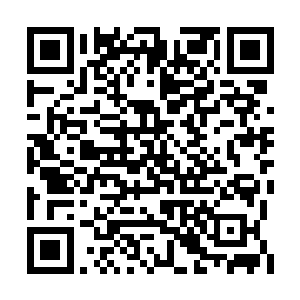 方舟的人一定会搜集到更多关于你甚至我的情报二维码生成