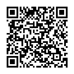 方运以总督的身份命令严悟查清是何人冒充复兴社二维码生成