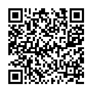 方运便已经通过强大的圣道力量做出更精准的判断二维码生成