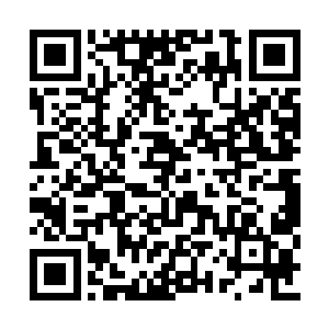 方运感受到一道道强大的圣念和目光向自己看来二维码生成