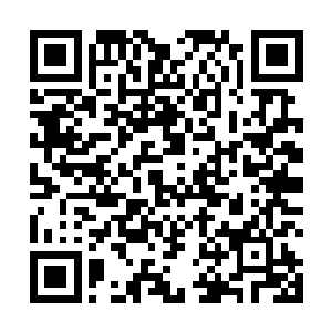 方运还准备把古贝王记忆中的贝族秘法一一传授给他们二维码生成