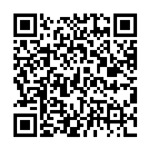 方阵的四周无不伫立着手持长枪武装到了牙齿的城守军妖兵二维码生成