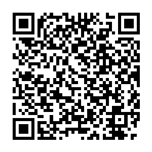 施出如此精妙的连携攻击……当年一页书与风之痕联手共抗弃天帝二维码生成