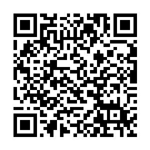 施家和钱家不约而同地派出了修士前往欧阳家族探查二维码生成