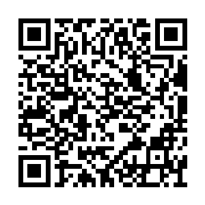 施展这些需要用血脉的能力比其他生物略划算些二维码生成