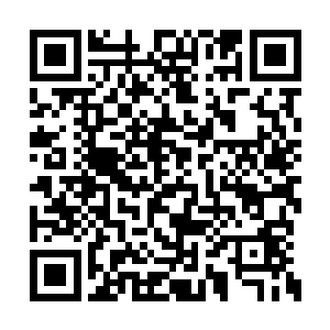 施有德的声音直接从血龙的半身之中穿透了出来二维码生成