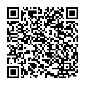 施有德给出的是一块在整个大陆上几乎都找不出第二块来的极品矿物材料二维码生成