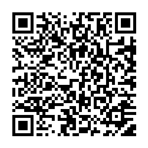 旁人不会明白这两个灭族而走向不归路的人在那对视中衍生了多少无奈跟惆怅二维码生成