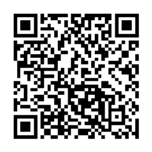 旁人或许会以为这是赶赴支援齐元康叛乱街区的士兵二维码生成