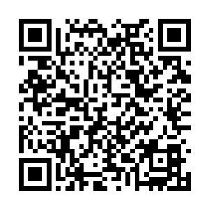 旁边不远处正围杀最后那数百只飞火蚁的妖族大军二维码生成