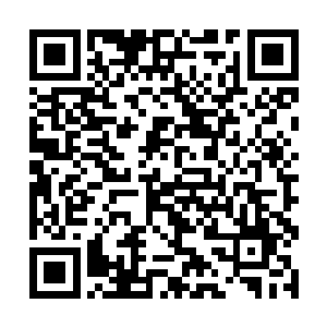 旁边候着的丫鬟嬷嬷们已经快速过来抱起了昭萱郡主二维码生成