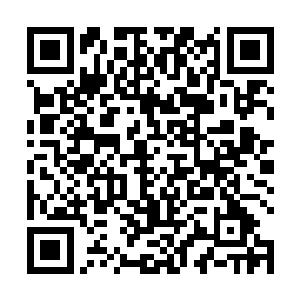 旁边小吃店里腹黑小萝莉和胖胖的李大土财主也出来了二维码生成