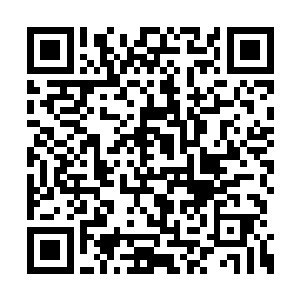 旁边彼得等人听见娜塔莎的娇呼才转身看见巴克二维码生成