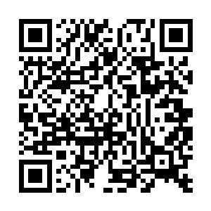 旁边服务生飞速地用点菜宝朝厨房送出他所点的每一个菜二维码生成