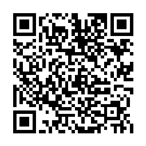 旁边的一个武警支队的小队长王大东也立刻叫道二维码生成