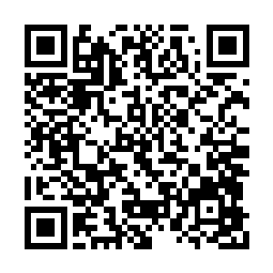 旁边的其他观众也都纷纷将手中的纸笔递了过来二维码生成