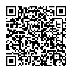 旁边的冰魄宗使者此时望向杨戬几个人的目光之中也闪过了一抹复杂的神情二维码生成