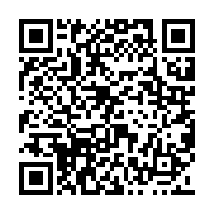 旁边的几女见状脸上也是有些羡慕的望着紫明月二维码生成