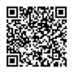 旁边的唐父唐母看着唐胖子和萧易抱在一起的样子二维码生成