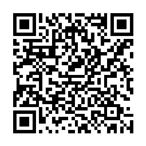 旁边的孟元见到龙傲天竟然赐给了孟芸如此顶尖的法宝之后二维码生成