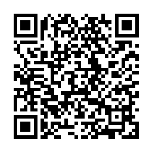 旁边的战无双等人疑惑的望着他不知道生了什么事二维码生成