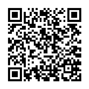 旁边的无虚几个人虽然说没有龙傲天刚才的那么狼狈二维码生成