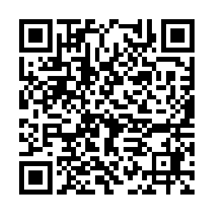 旁边的武警也是很羡慕的看着赵小兵和麦兜两个人二维码生成