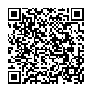 旁边的玄鸿天尊众人见到小金头上的巨盾之后脸上的表情也是无比的震惊二维码生成