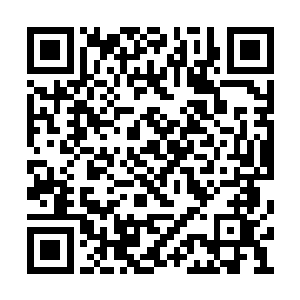 旁边的罗宾汉与罗奈尔德的脸上都有着涨红之色二维码生成